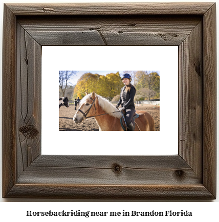 horseback riding near me in Brandon, Florida